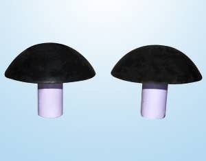 Mushroom Valves